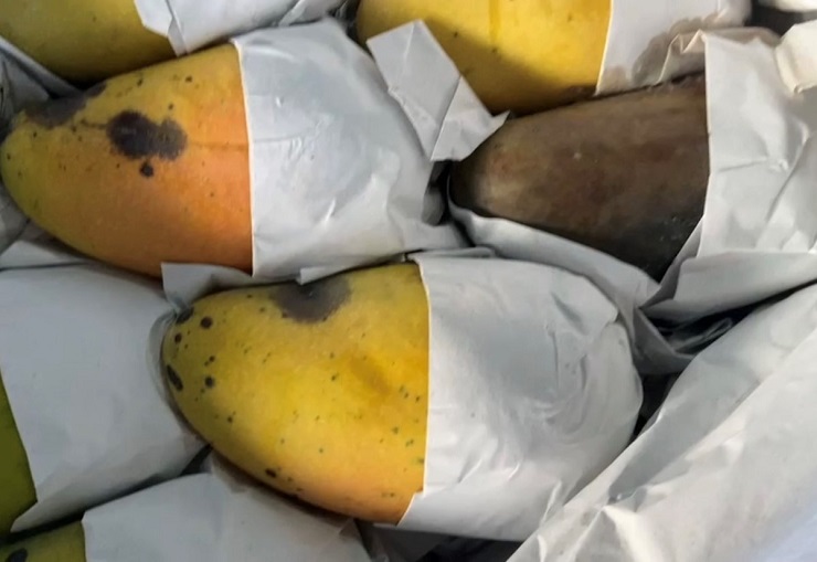 &ldquo;Vỡ mộng&rdquo; khi mua hoa quả xuất khẩu quay đầu với gi&aacute; giải cứu - Ảnh 3.