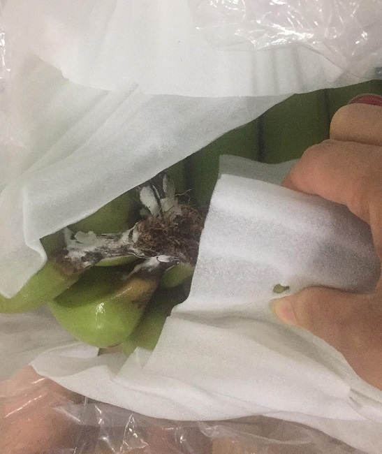 &ldquo;Vỡ mộng&rdquo; khi mua hoa quả xuất khẩu quay đầu với gi&aacute; giải cứu - Ảnh 5.