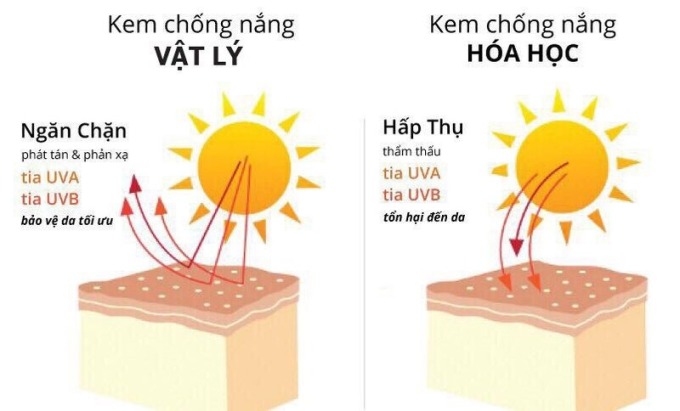 Ba quan niệm sai lầm về kem chống nắng - Ảnh 3.