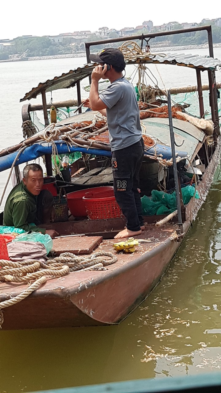 Con vật vờ kỳ lạ ở sông Hồng, sống vài giờ nhưng lưu danh đặc sản, giá ...