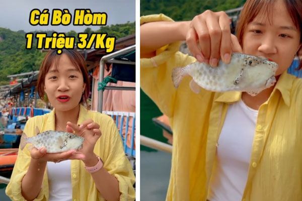 Dân mạng tranh cãi về một loài cá có giá hơn 1 triệu/kg nhỏ bằng nắm tay nhưng vị như thịt gà, &quot;vậy sao không mua con gà hơn 200k mà ăn?&quot; - Ảnh 1.