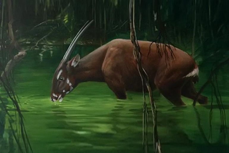 Tin sáng 11/5: Linh vật SEA Games 31 - loài thú cổ đại được cho là bí ẩn nhất thế giới - Ảnh 2.