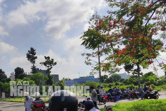 Ph&aacute;t hiện thi thể đang ph&acirc;n hủy ở khu d&acirc;n cư Ho&agrave;ng Long - Ảnh 2.