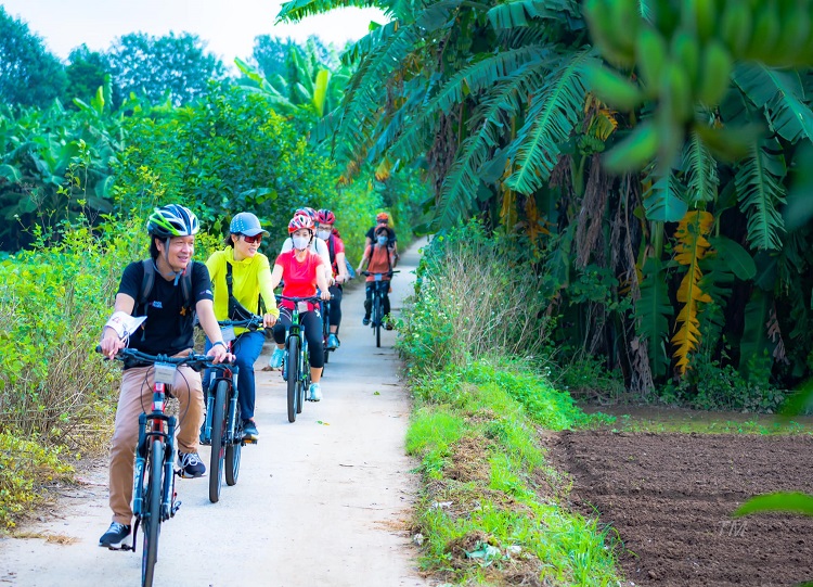 Hà Nội: Khách chi tiền triệu đặt tour đạp xe để ngắm… vườn chuối, ruộng rau - Ảnh 1.