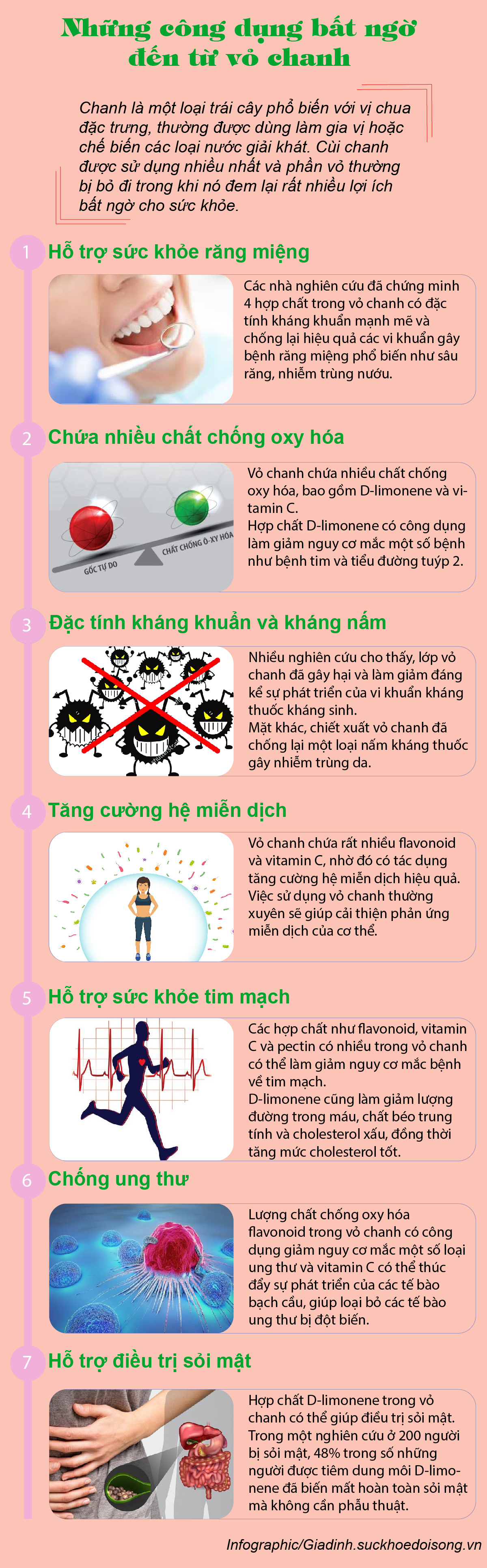 Loại quả mà hầu hết người dùng đều lấy nước bỏ vỏ, nhưng phần bị vứt đi lại là thuốc quý - Ảnh 1.