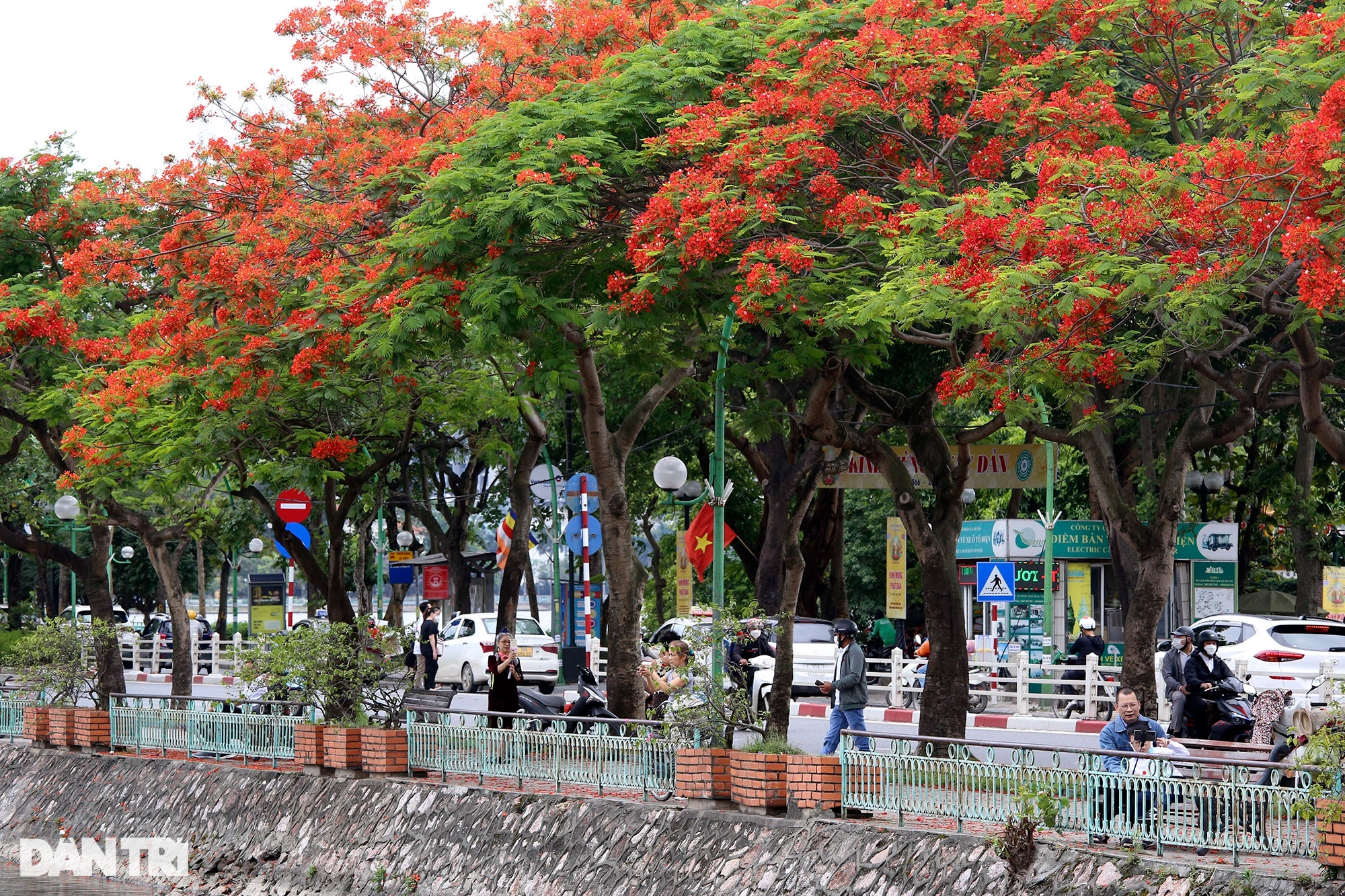 Người dân mặc áo phao ra đường giữa tháng 5 mùa hoa phượng nở đỏ rực - Ảnh 1.