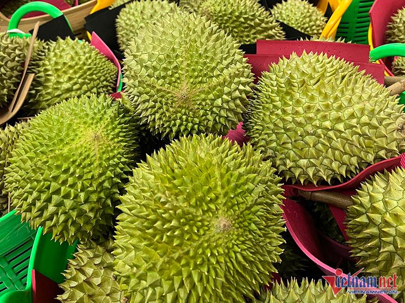 Sầu riêng Musang King chín rụng ở Cần Thơ, gần 3 triệu/quả vẫn khó mua - Ảnh 5.