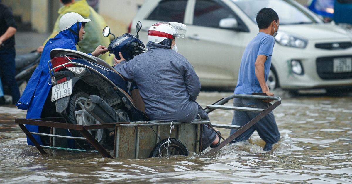 Hà Nội 'phố cũng như sông', dịch vụ chở người bằng xe bò kiếm bộn tiền