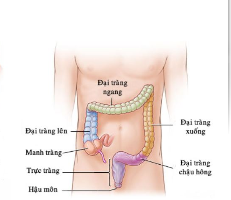 Xử trí như thế nào khi bị mắc “đồ chơi” trong hậu môn do tự sướng? - Ảnh 4.