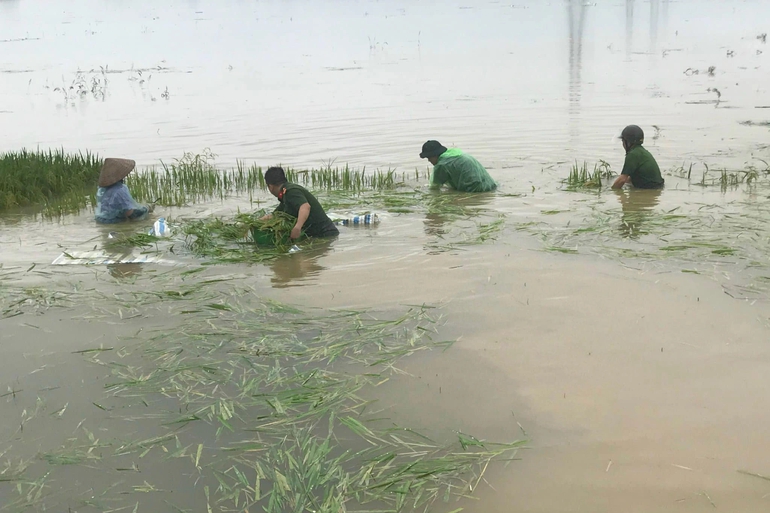 C&ocirc;ng an Thanh H&oacute;a gi&uacute;p d&acirc;n gặt l&uacute;a &lsquo;chạy đua&rsquo; với thời tiết - Ảnh 5.