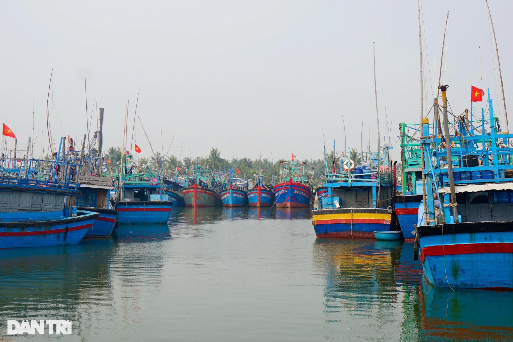 Làng biển giàu nhất miền Trung nhờ nghề săn &quot;thủy quái&quot; đại dương - Ảnh 3.