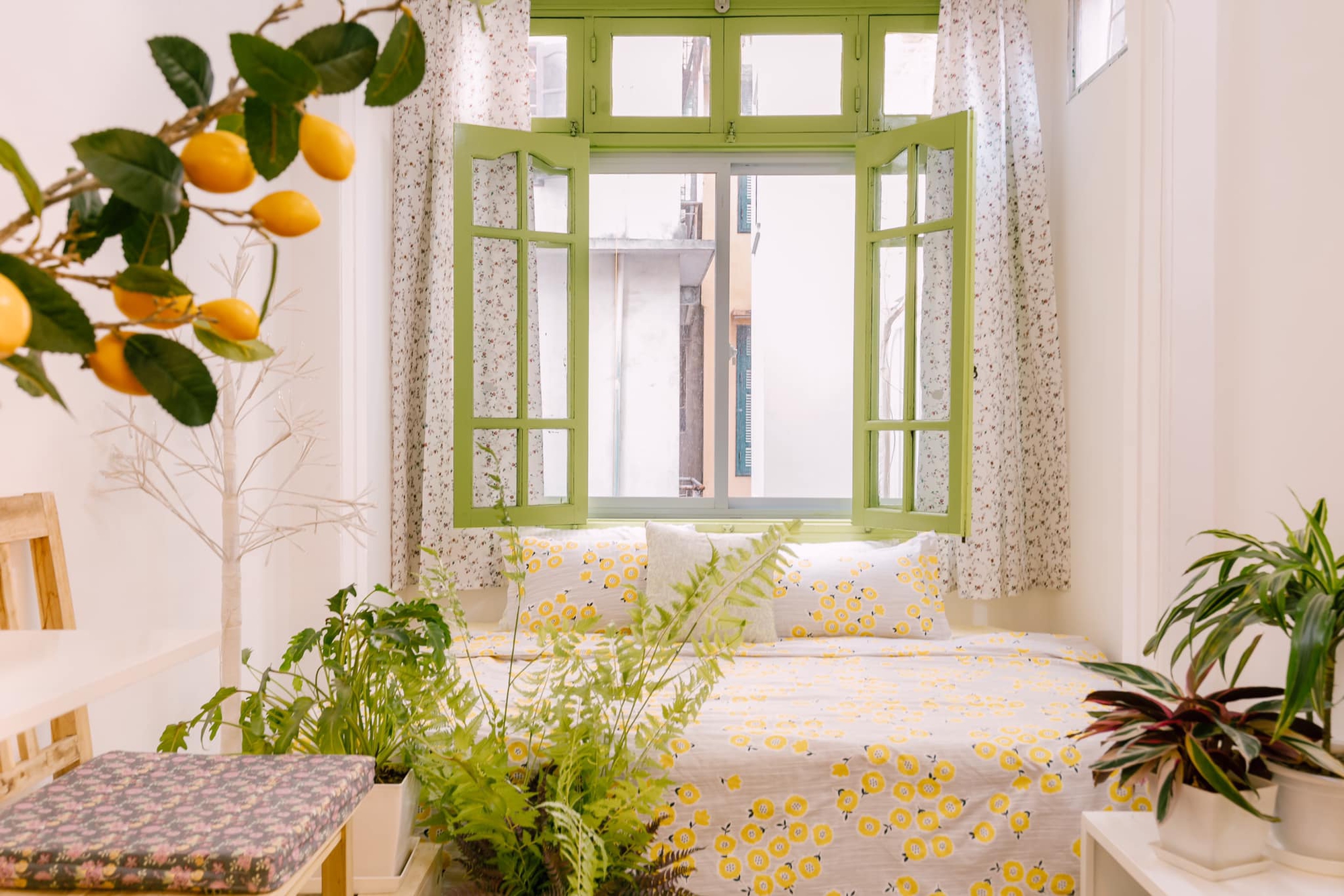 Cô gái Hà Nội cải tạo phòng trọ 35m² chỉ 25 triệu mà đẹp "ngỡ ngàng" - Ảnh 5. Cô gái Hà Nội cải tạo phòng trọ 35m² chỉ 25 triệu mà đẹp "ngỡ ngàng" - Ảnh 5.