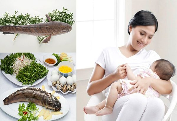 Bà đẻ ăn được cá gì để tốt cho sức khỏe sau sinh? - Ảnh 11.