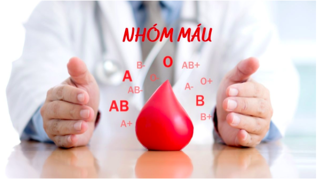 Bất ngờ về các nhóm máu A, B, O, AB: Nhóm máu của bạn quyết định những bệnh bạn có thể mắc phải! - Ảnh 1.