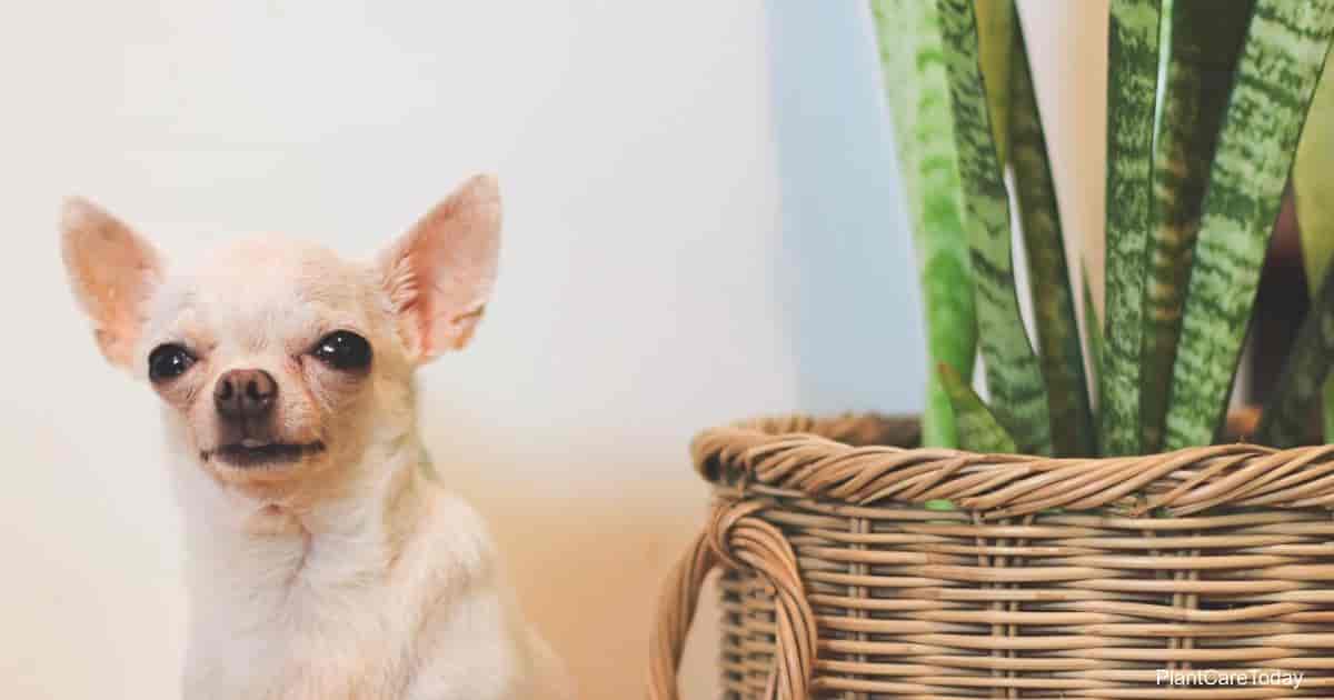 cần phải loại bỏ ngay ra khỏi nhà mà bạn cần nhớ - Ảnh 10. cần phải loại bỏ ngay ra khỏi nhà mà bạn cần nhớ - Ảnh 10.