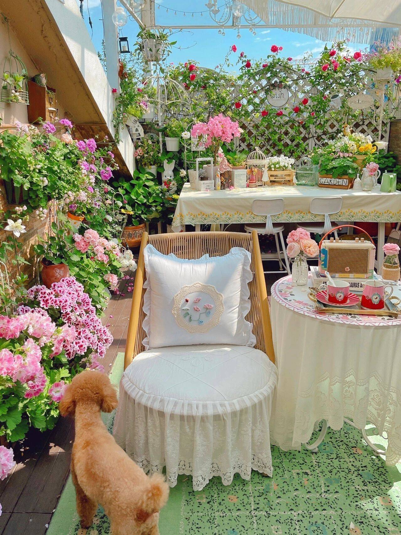 Khu vườn sân thượng 20m² đẹp như vừa bước ra từ trong truyện cổ tích - Ảnh 9. Khu vườn sân thượng 20m² đẹp như vừa bước ra từ trong truyện cổ tích - Ảnh 9.