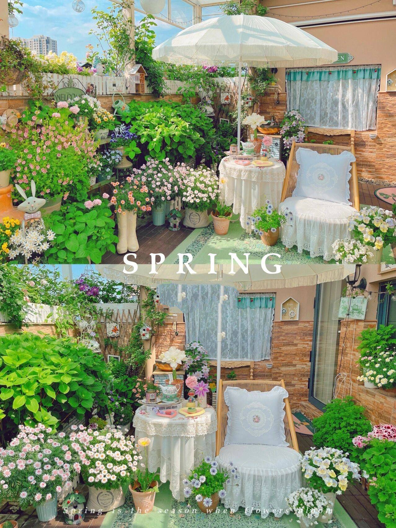 Khu vườn sân thượng 20m² đẹp như vừa bước ra từ trong truyện cổ tích - Ảnh 5. Khu vườn sân thượng 20m² đẹp như vừa bước ra từ trong truyện cổ tích - Ảnh 5.