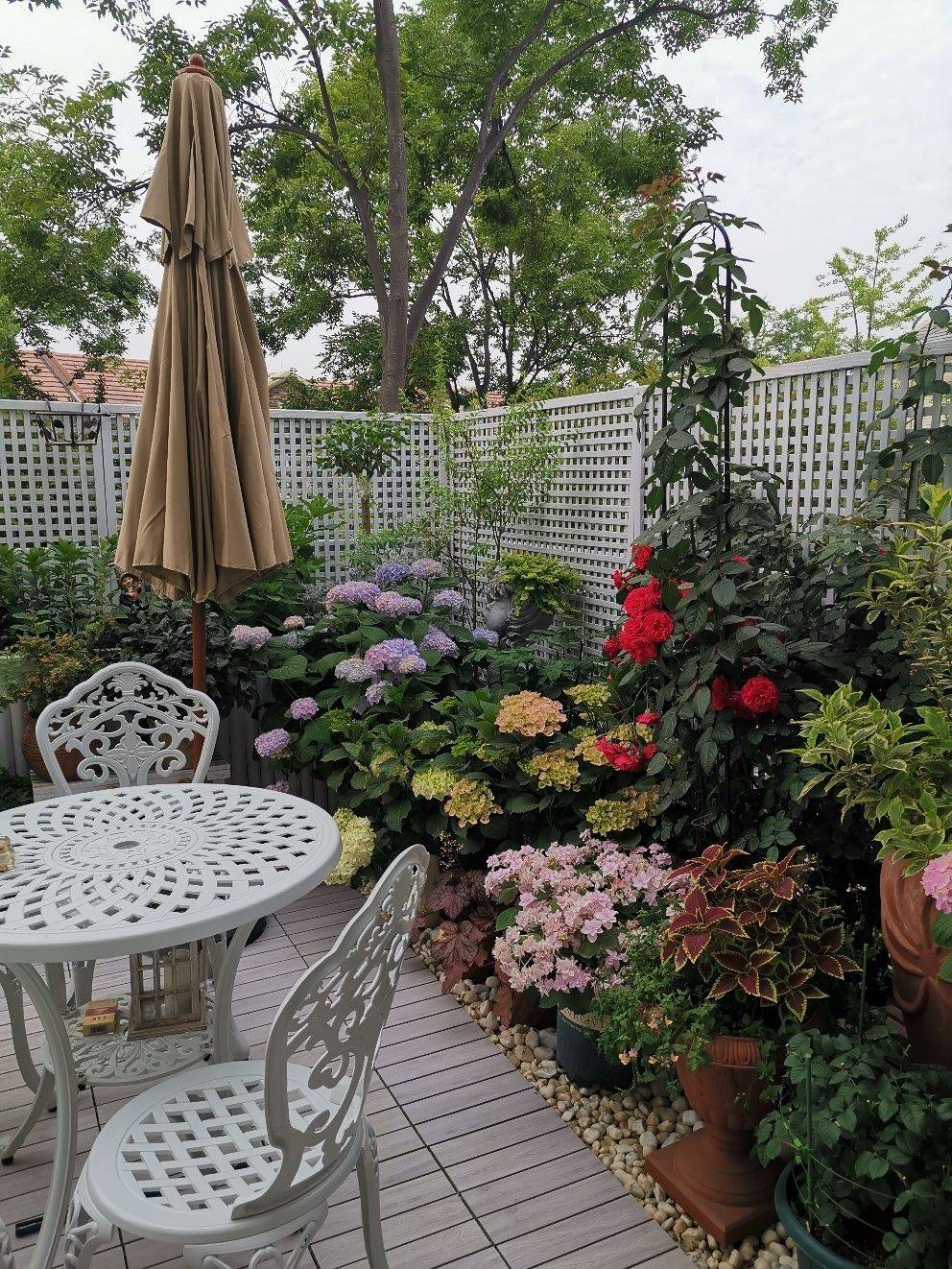 Khu vườn sân thượng 40m² được mẹ đảm thành phố tự tay làm từ A đến Z, khiến bạn ngắm từ lúc bình minh đến đêm muộn cũng không biết chán - Ảnh 3.