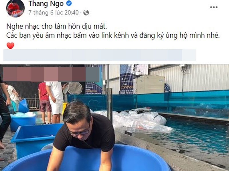 Soi cuộc sống của Hà Thanh Xuân và 'Vua cá Koi' sau lùm xùm - Ảnh 6.