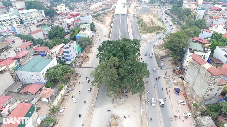 Cây đa trăm tuổi bị gãy nhánh: Sẽ rà soát &quot;sức khỏe&quot; của cây - Ảnh 3.