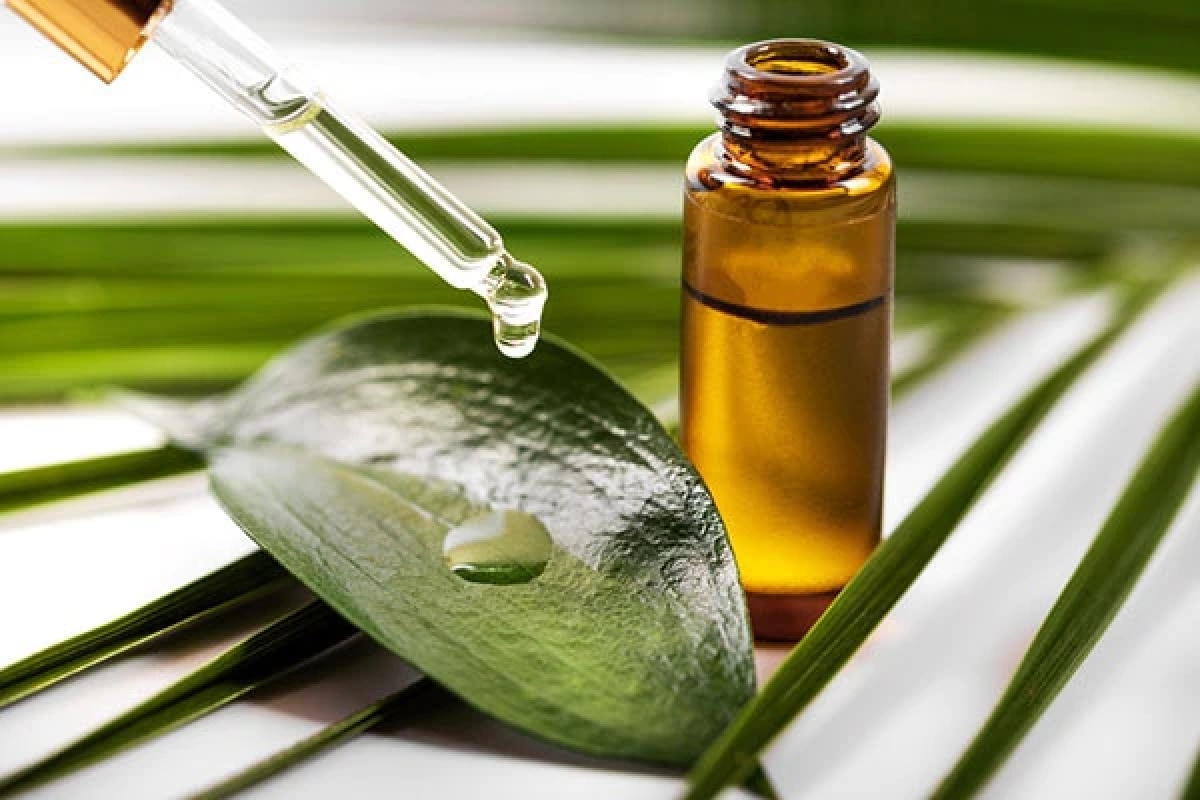 9 bí kíp tự nhiên giúp giảm thâm vùng da dưới cánh tay - Ảnh 3. 9 bí kíp tự nhiên giúp giảm thâm vùng da dưới cánh tay - Ảnh 3.