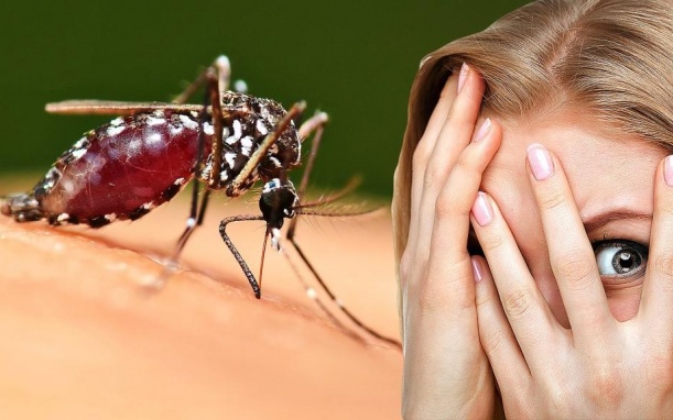 Tại sao muỗi luôn đốt bạn? Không phải do nhóm máu  mà là do 4 "miếng mồi" này trên người bạn 