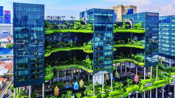 Mê mẩn với khách sạn giống như khu rừng nhiệt đới trên cao - Ảnh 2. Mê mẩn với khách sạn giống như khu rừng nhiệt đới trên cao - Ảnh 2.