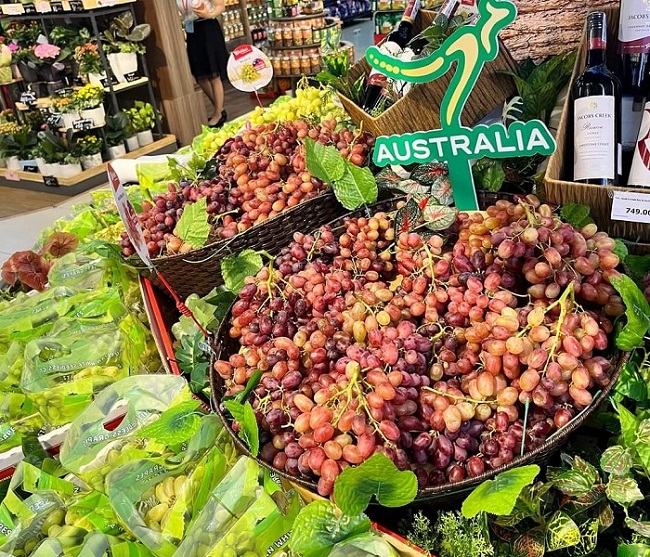Hoa quả Úc dội chợ Việt với giá “siêu rẻ”, chỉ từ vài chục nghìn đồng/kg - Ảnh 1.