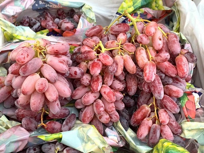Hoa quả Úc dội chợ Việt với giá “siêu rẻ”, chỉ từ vài chục nghìn đồng/kg - Ảnh 2.