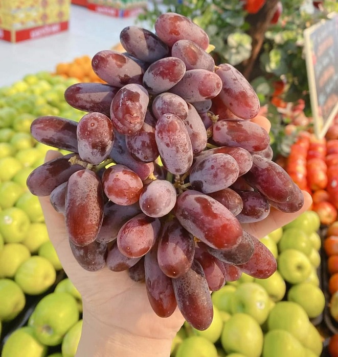 Hoa quả Úc dội chợ Việt với giá “siêu rẻ”, chỉ từ vài chục nghìn đồng/kg - Ảnh 4.