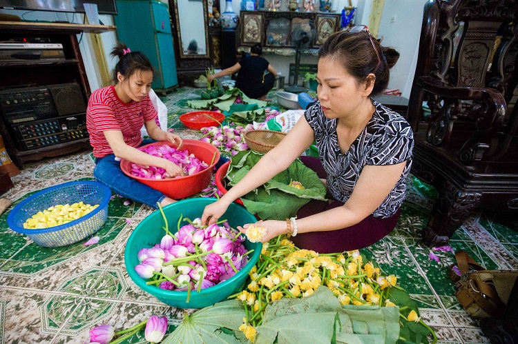 Đại gia Hà Nội săn lùng “đệ nhất trà” giá 10 triệu đồng/kg - Ảnh 3.