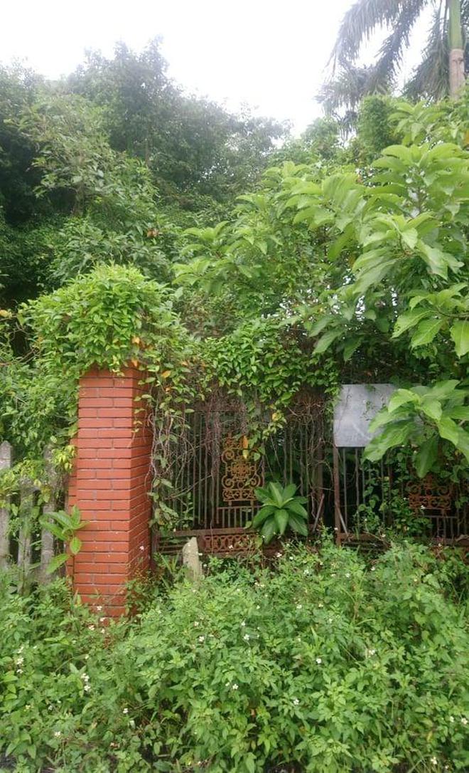 Cỏ dại um tùm bao trùm căn nhà cũ của gia đình Việt Anh