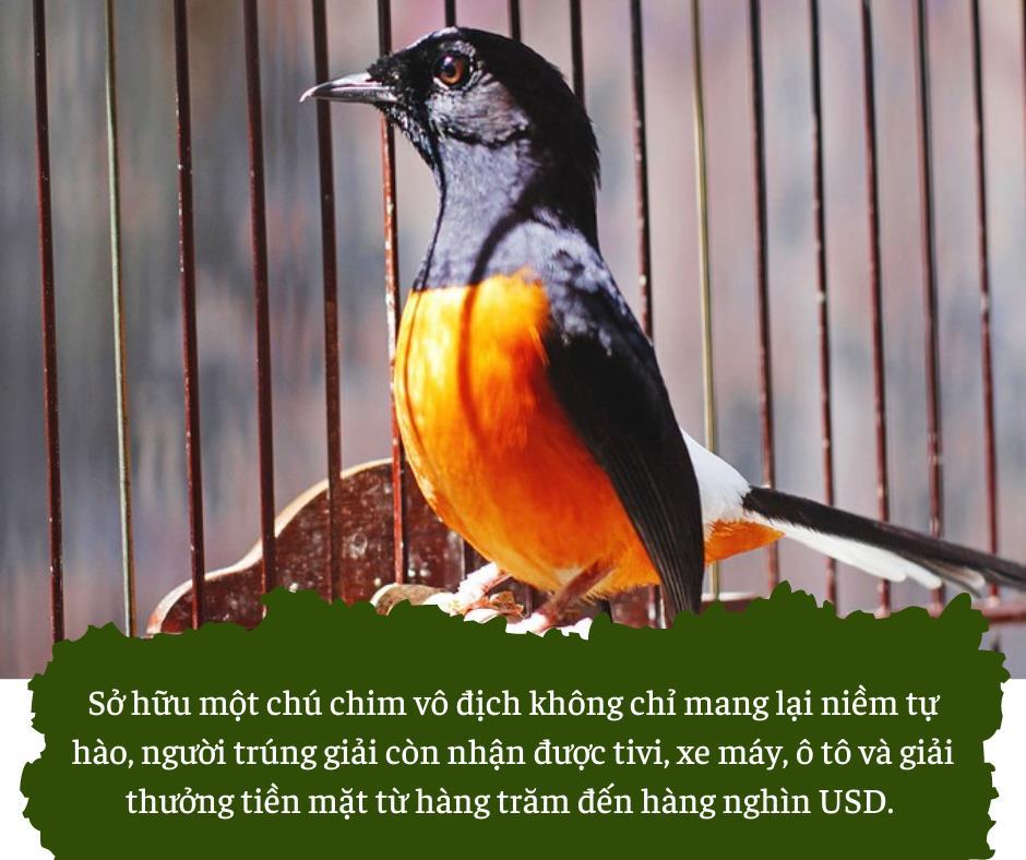 Bùng lên cơn sốt chim cảnh, giống lan đột biến ở Việt Nam - Ảnh 2.