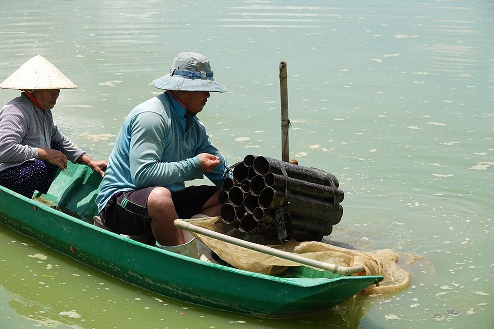 Nuôi loài cá lạ da bóng, đuôi đỏ, tiếng kêu éc éc... thu lãi trăm triệu - Ảnh 3.