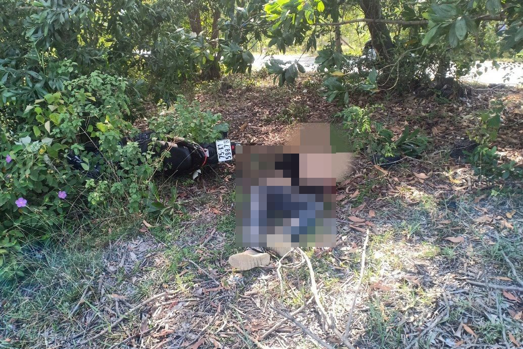 Tông cây tràm, một người chạy xe máy thiệt mạng - Ảnh 1. Tông cây tràm, một người chạy xe máy thiệt mạng - Ảnh 1.