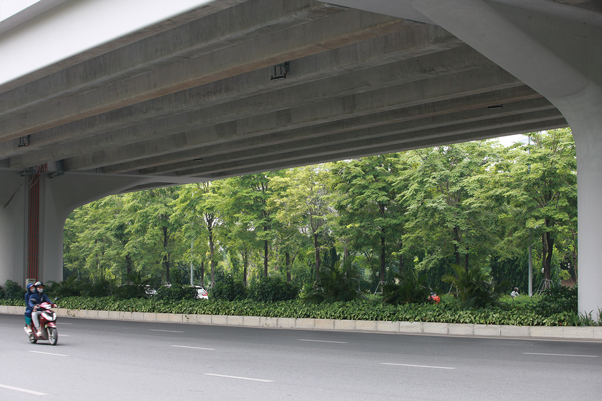 Con đường trước đây bị di dời chặt hạ 1.300 cây xanh, nay xanh rì bóng cây, hiện đại bậc nhất Thủ đô - Ảnh 9.