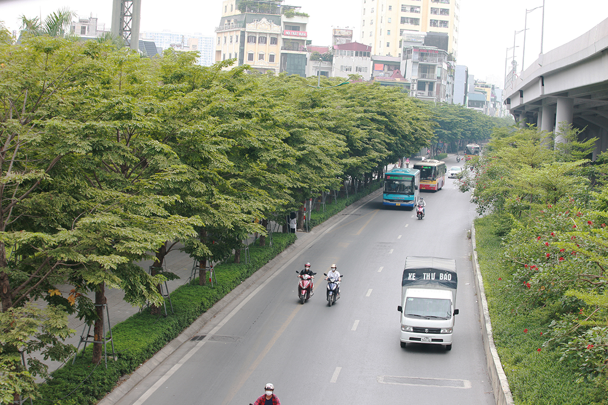 Con đường trước đây bị di dời chặt hạ 1.300 cây xanh, nay xanh rì bóng cây, hiện đại bậc nhất Thủ đô - Ảnh 5.