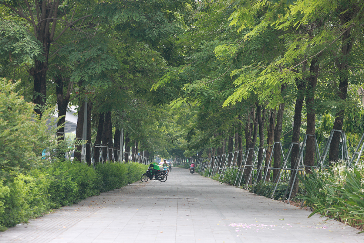 Con đường trước đây bị di dời chặt hạ 1.300 cây xanh, nay xanh rì bóng cây, hiện đại bậc nhất Thủ đô - Ảnh 6.