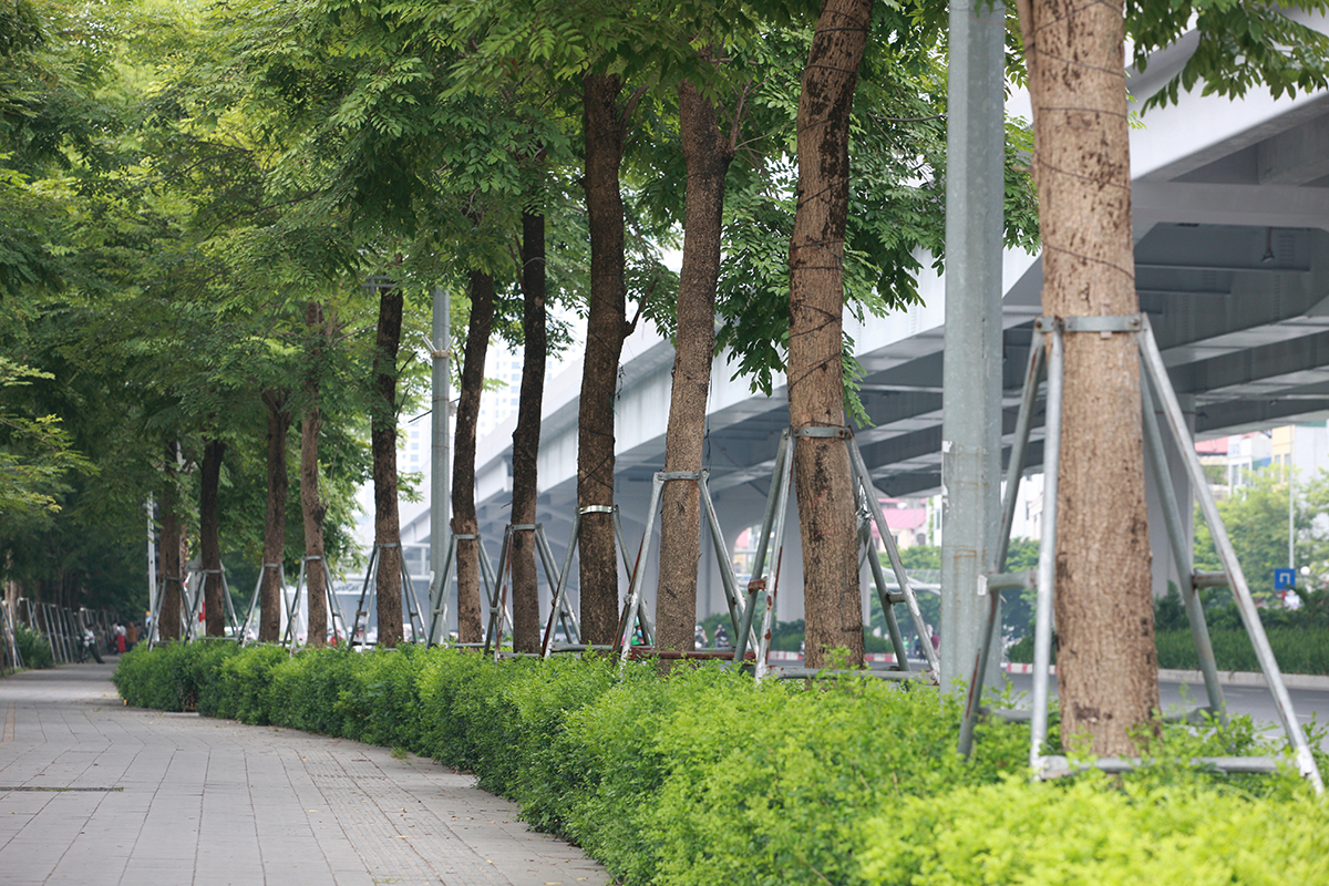 Con đường trước đây bị di dời chặt hạ 1.300 cây xanh, nay xanh rì bóng cây, hiện đại bậc nhất Thủ đô - Ảnh 7.