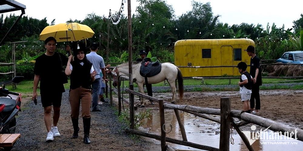 Tập làm 'quý tộc': Trăm triệu mua ngựa, tháng gần chục triệu nuôi, tập 1 buổi mất cả triệu - Ảnh 4.