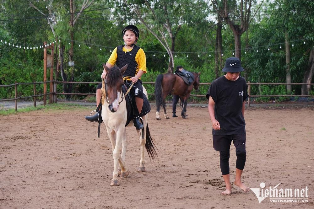 Tập làm 'quý tộc': Trăm triệu mua ngựa, tháng gần chục triệu nuôi, tập 1 buổi mất cả triệu - Ảnh 1.