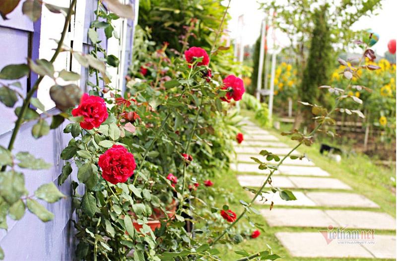 Mẹ vợ nghèo bỗng nhiên có chục tỷ, con rể đứng ngồi không yên - Ảnh 1. Mẹ vợ nghèo bỗng nhiên có chục tỷ, con rể đứng ngồi không yên - Ảnh 1.