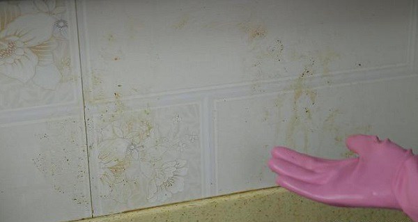 Hòa kem đánh răng vào rượu trắng, giải quyết ngay nhiều vấn đề khó nhằn trong nhà - Ảnh 3. Hòa kem đánh răng vào rượu trắng, giải quyết ngay nhiều vấn đề khó nhằn trong nhà - Ảnh 3.