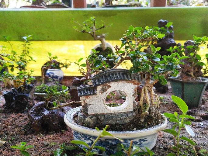 Bộ sưu tập bonsai lạ đình đám ở Việt Nam đặc biệt cỡ nào? - Ảnh 11.