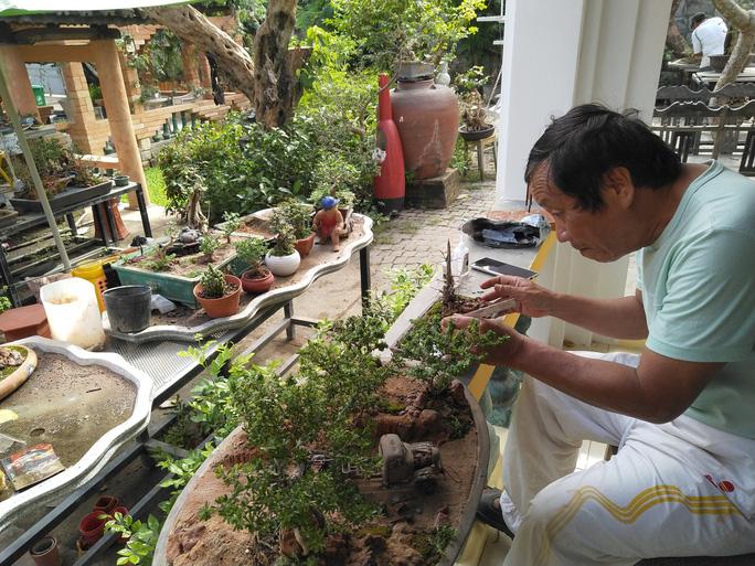 Bộ sưu tập bonsai lạ đình đám ở Việt Nam đặc biệt cỡ nào? - Ảnh 7.