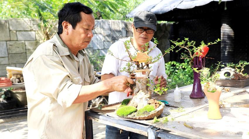 Bộ sưu tập bonsai lạ đình đám ở Việt Nam đặc biệt cỡ nào? - Ảnh 10.