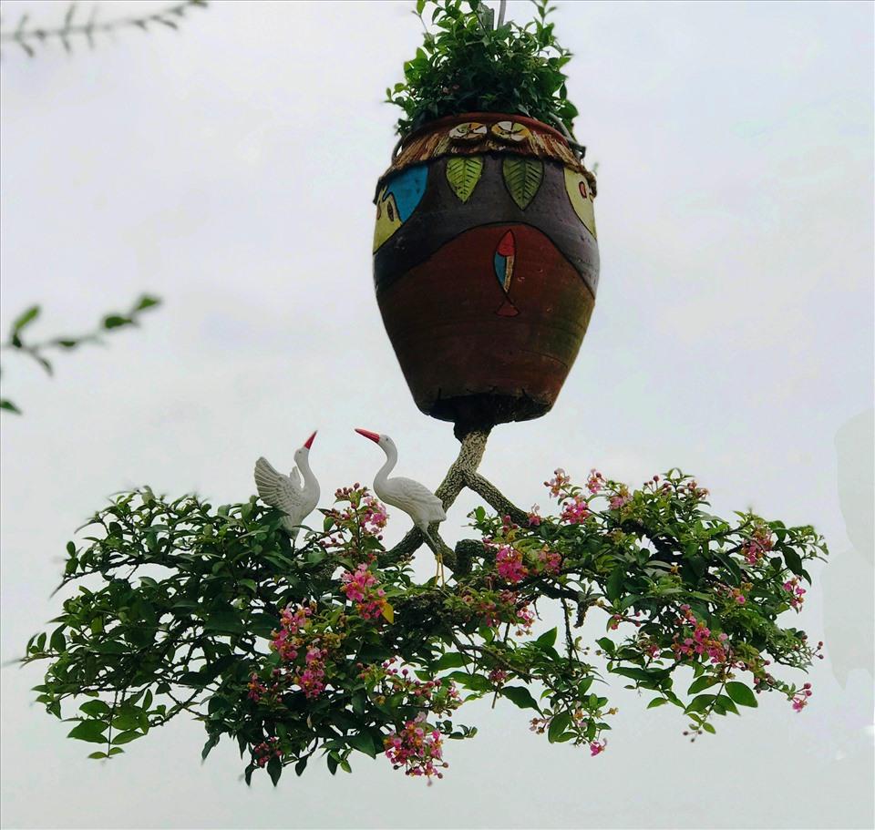 Bộ sưu tập bonsai lạ đình đám ở Việt Nam đặc biệt cỡ nào? - Ảnh 3.