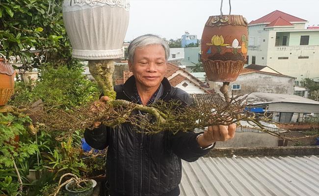 Bộ sưu tập bonsai lạ đình đám ở Việt Nam đặc biệt cỡ nào? - Ảnh 2.