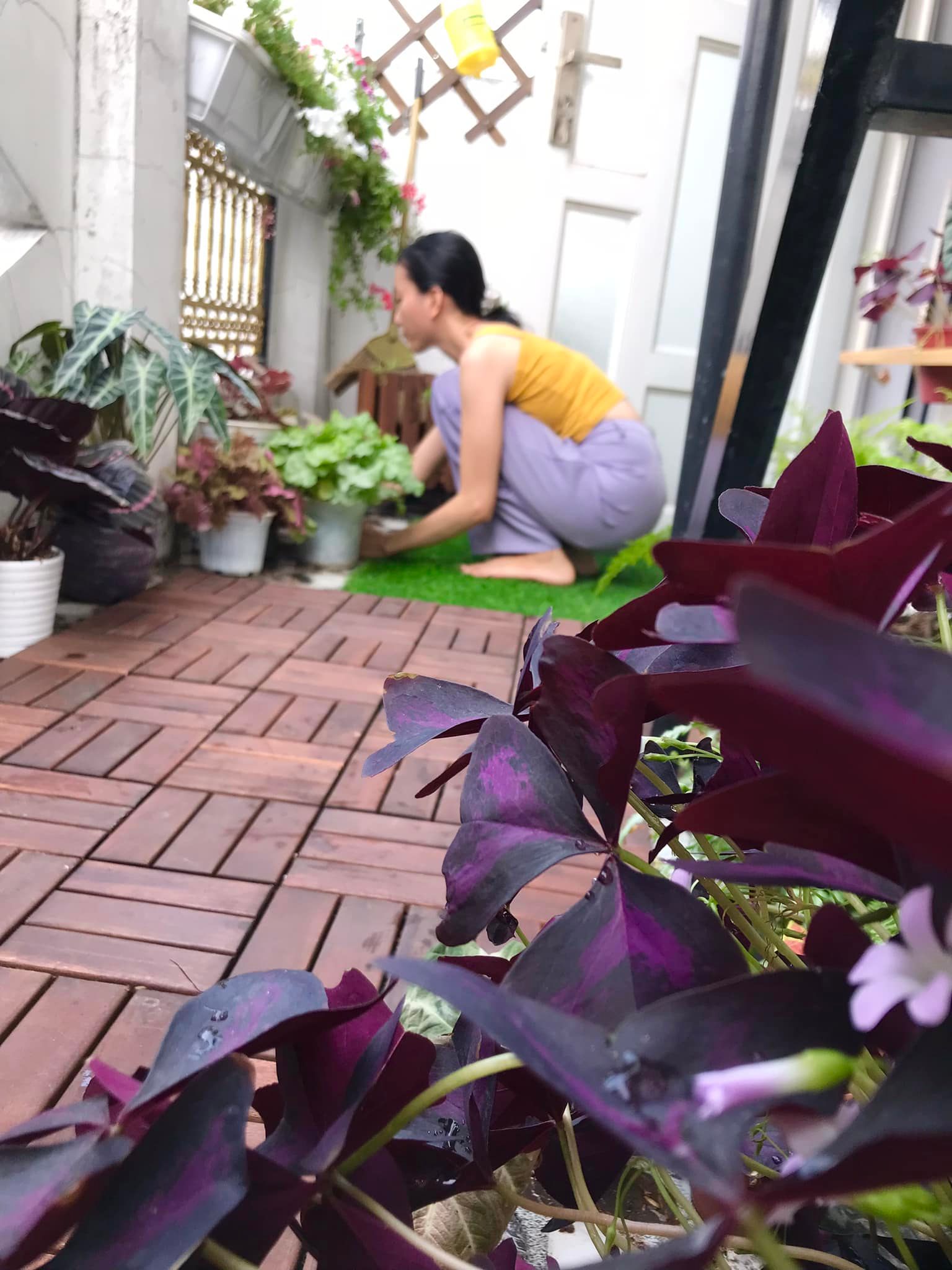 Cặp vợ chồng Sài Gòn cải tạo ban công nhỏ thành "chỗ trốn" ngập cây xanh và gió mát chỉ với 5 triệu đồng - Ảnh 7. Cặp vợ chồng Sài Gòn cải tạo ban công nhỏ thành "chỗ chốn" ngập cây xanh và gió mát chỉ với 5 triệu đồng - Ảnh 7.