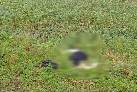 Nam c&ocirc;ng nh&acirc;n tử vong bất thường trong tư thế nằm nghi&ecirc;ng - Ảnh 1.